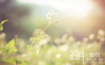 五月份的工作总结推荐8篇