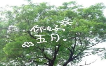 幼儿园小班五月份工作计划8篇