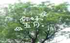 幼儿园中班五月份工作总结8篇