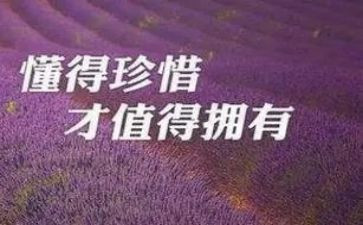不珍惜作文600字模板7篇
