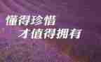 不珍惜作文600字模板7篇