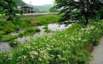 夏雨作文400字7篇