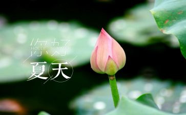 夏天趣事的作文模板6篇