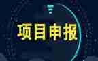 干项目心得体会通用7篇