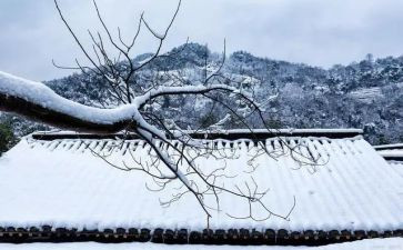 我想念家乡的雪作文7篇