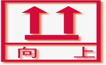 向上的少年作文7篇