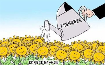 乡镇干部个人述职报告7篇