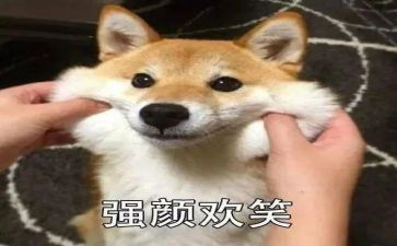 关于笑的作文100字5篇