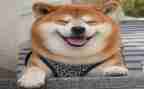 微笑主题作文800字8篇
