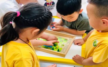 关于幼儿园小班的教案最新5篇