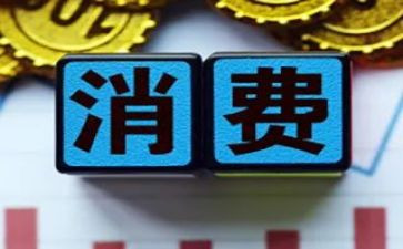 限制消费申请书8篇