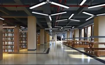 学校内部审计工作总结6篇