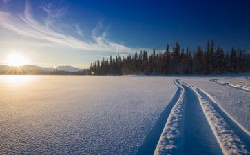 小班《下雪了》教案8篇