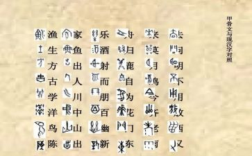 形近字的教学反思最新7篇