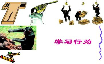 大学生不文明行为调查报告5篇