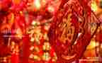 语言活动过新年教案5篇