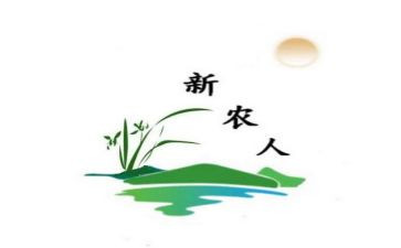 新农村建设调查报告8篇