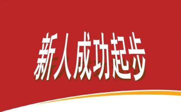 销售新人入职工作总结7篇