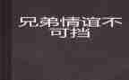 写我的兄弟的作文7篇
