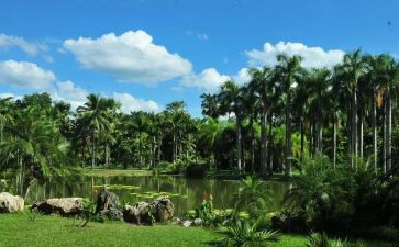 西双版纳游后感作文参考8篇