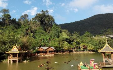 西双版纳游后感作文5篇