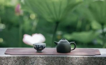有关修养的作文7篇