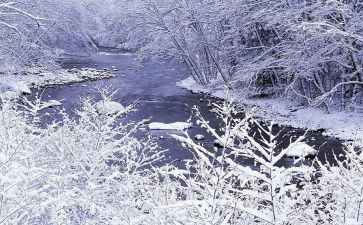 美术雪教学反思8篇