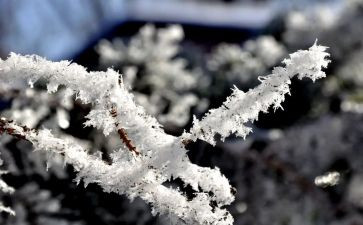 美术雪教学反思最新7篇