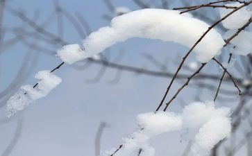 玉龙雪作文5篇