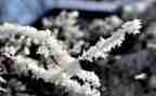 美术雪教学反思最新7篇