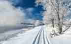 介绍雪的作文300字通用6篇