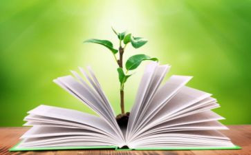 英语老师的教学工作总结7篇