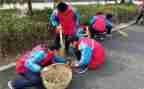 中学学雷锋月活动总结7篇