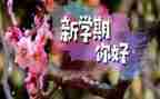 蒙氏小班下学期工作总结模板8篇