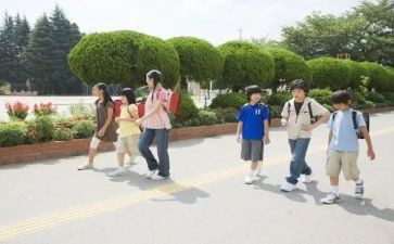 学生培训心得体会优质8篇