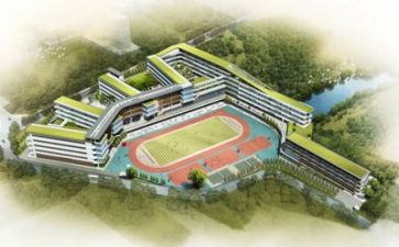 学校个人自查报告8篇