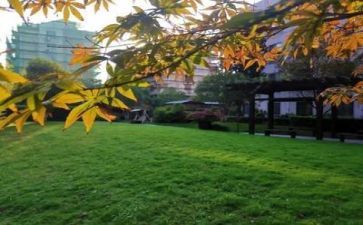 游览学校作文6篇