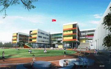 学校的财务工作报告6篇