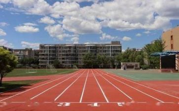 教师在学校的总结报告7篇