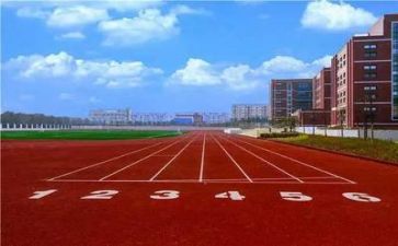 逛学校心得体会模板7篇