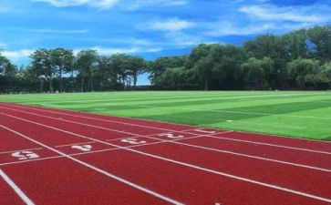学校的工作报告模板5篇