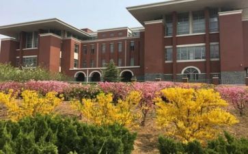 学校年度述职报告范文7篇