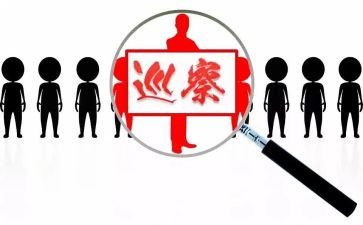 巡察组干部述职报告6篇