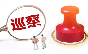 巡察干部2024述职述廉报告8篇