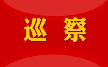巡察员述职述廉报告8篇