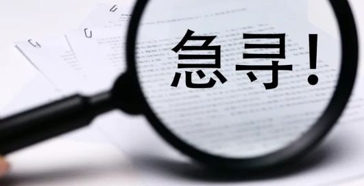 爱寻访的作文5篇