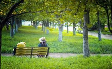 情感叙事作文5篇