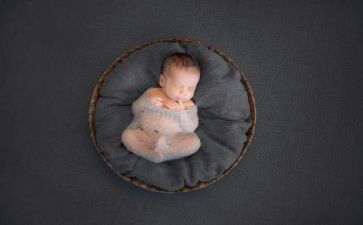 蛋宝宝的教案精选8篇