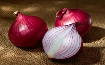 洋葱的读后感6篇