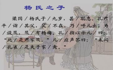 《杨氏之子》优秀教案5篇